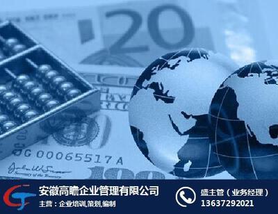 高瞻管理在线咨询视角下的项目投资价值企划与风控报告体系构建